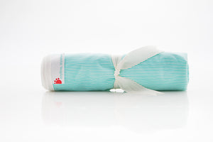 Anytime, Anywhere baby mat (smooth PUL)